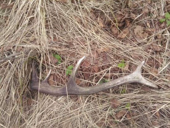 Počkal si na mňa rok