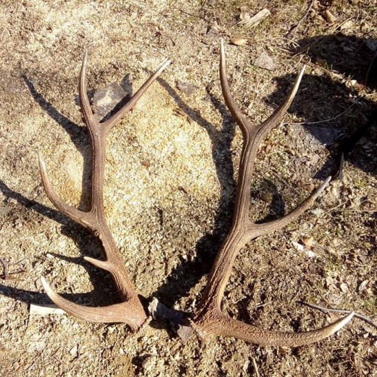 Po siedmych hodinách kráčania :)