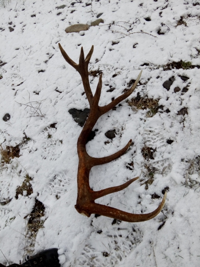 Kamarátov 18-torák