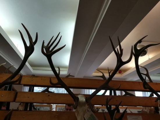 Chovateľská prehliadka Brezno 2