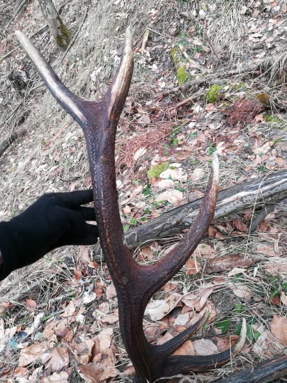 Konečne dačo väčšie