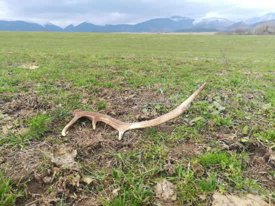 Keď to najmenej čakáš