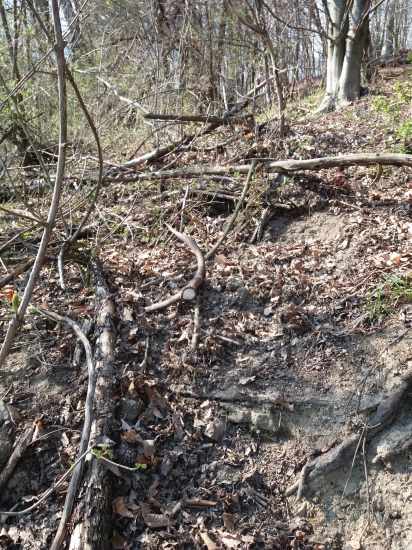 Na chodniku vedľa cesty