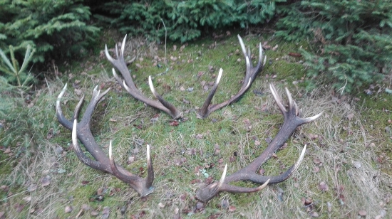 Stribrne a bronzové