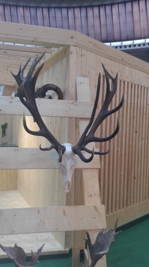 Takovej lepší jelen