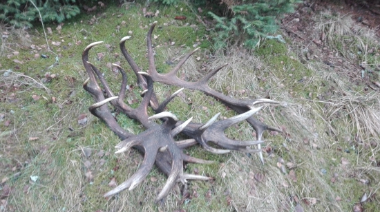 Vzpominka na rok 2016