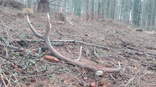 Druhý ze včerejška