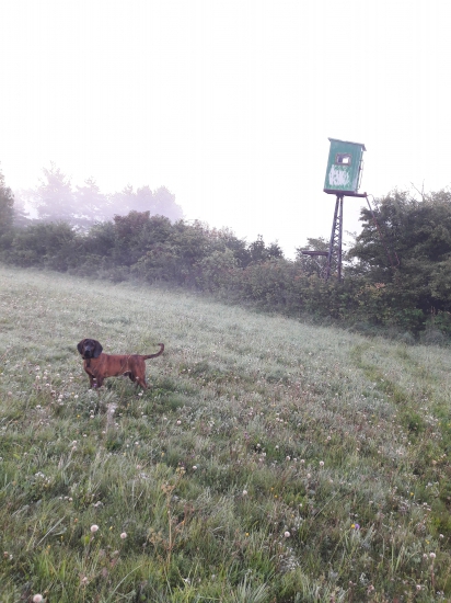 Dandy od Ždiarskej Vidly