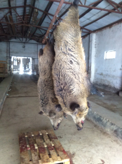 Keď sa zadari v jednu sobotu