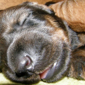 Máme už desať dní:o)