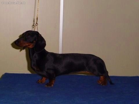 MVP Nitra-2xveľmi nádejna1