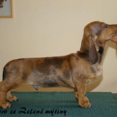 A konečne chlap medzi tými babami