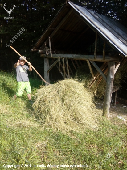 Chystanie na zimu