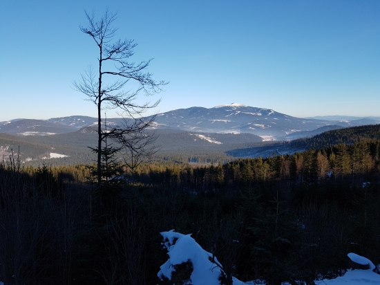 Babia Hora