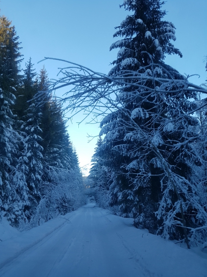 cesta pod Pilskom