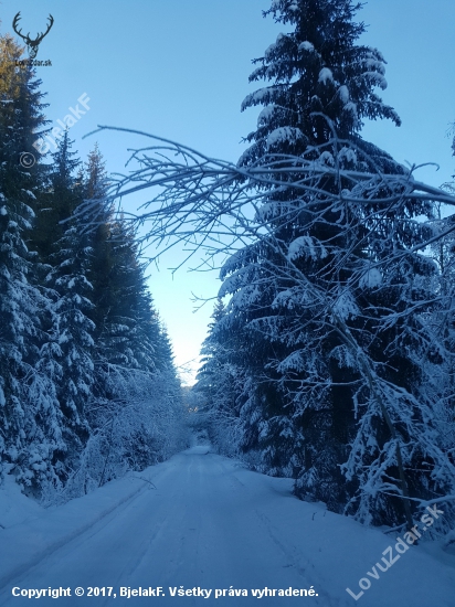 cesta pod Pilskom