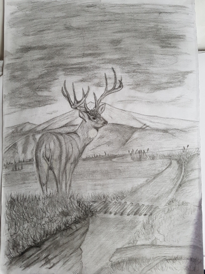 Jeleň kreslenie ceruzkou