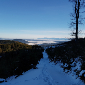 Výhľad z pod Pilska