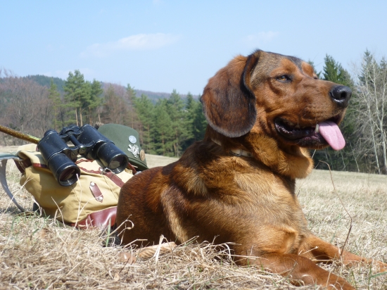 ORKO A JEHO ODLOZENIE NA LUKE