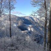 ZIMNAAAAA  ROZPRAVKA :)))