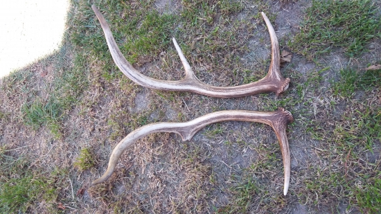 Šťastie 2.5km od seba