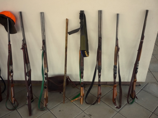 z prava piata bazova jednotk.. 13cka :)