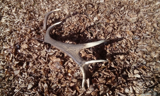 Šestnásťtorák 4.85kg