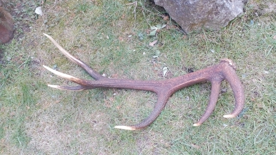 Valentínsky 12-torák ;-)