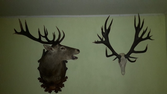 Ale sme dopadli čo :(