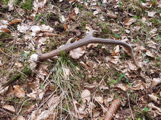 Môj prvý čerstvý :)