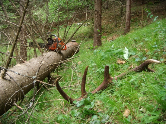 Nájdený pri práci