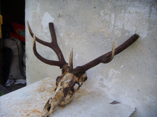 Nepochopiteľné...!