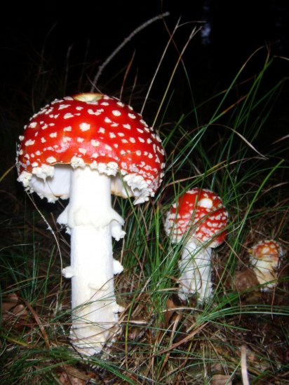 Posvietim si na vás...