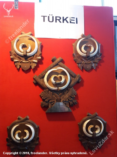 Trofeje tureckych diviakov v Salzburgu