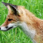 zmoknutá z profilu...