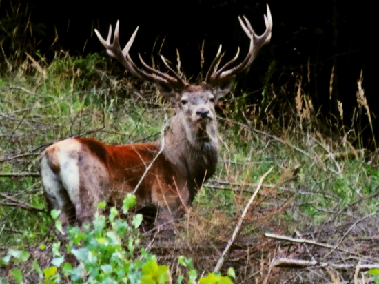 ..keď sa už stmieva