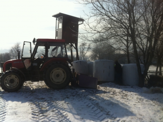 Prikrmovanie v case nudze 6