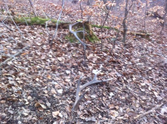 Konecne para...desatorak č. 4 a 5.