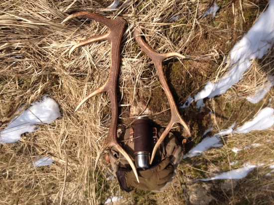 Dnes sa pošťastilo...