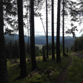 Bičiarky-Zavratné-Kráľova Hoľa