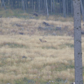 Aj nám sa konečne poštastilo