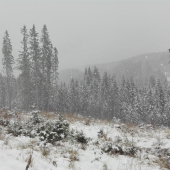 Košariská, cestou na prokof