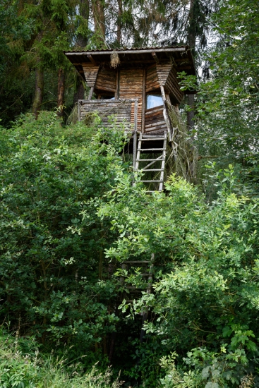 posed v kubistickém stylu