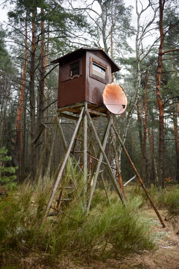 Tak co dneska dávají?