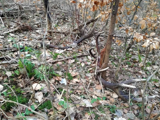 ...pol metra od seba