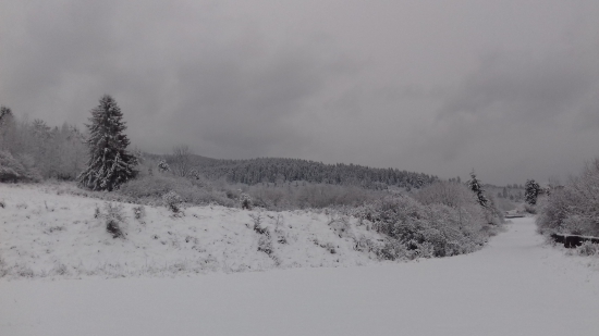 Švedlár 2018