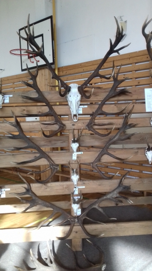 Výstava Prešov 2018 v plnej kráse