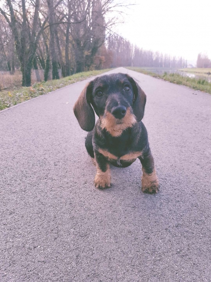 Bára z Agátovej doliny