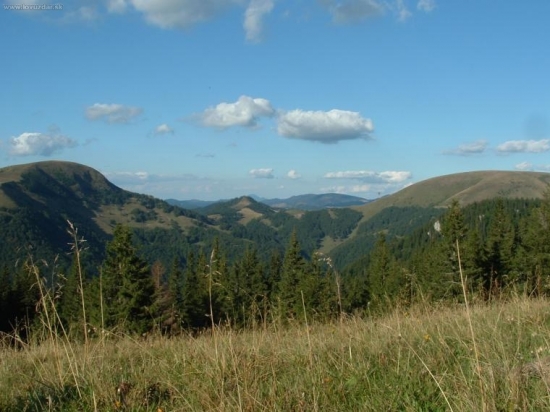Borišova Ploska