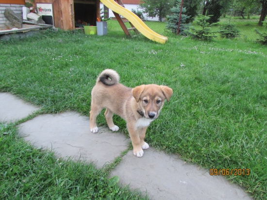 nový přírustek do rodiny